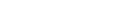 IT Consulting

